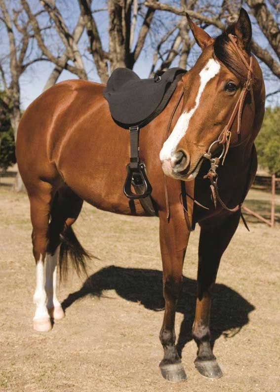 Soft Ride Saddle 14in/15in G421709