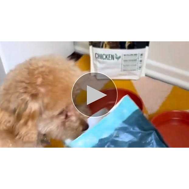 Freeze Dried Raw Complete Meal for Adult Dogs High Protein T773912