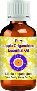 Pure Lippia Origanoides Essential Oil Steam Distilled 100ml X 3 L2409