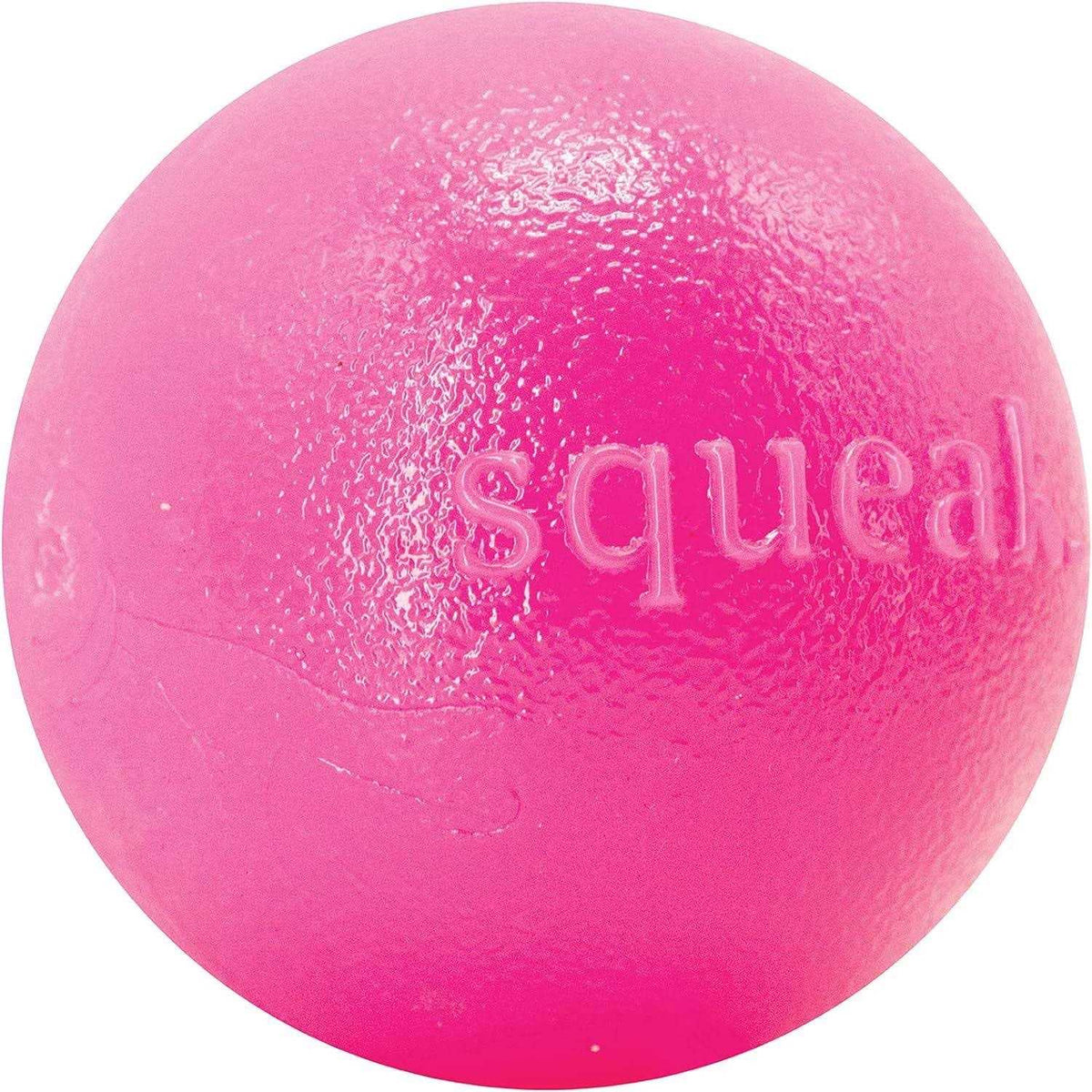 Squeak Toy Ball T259