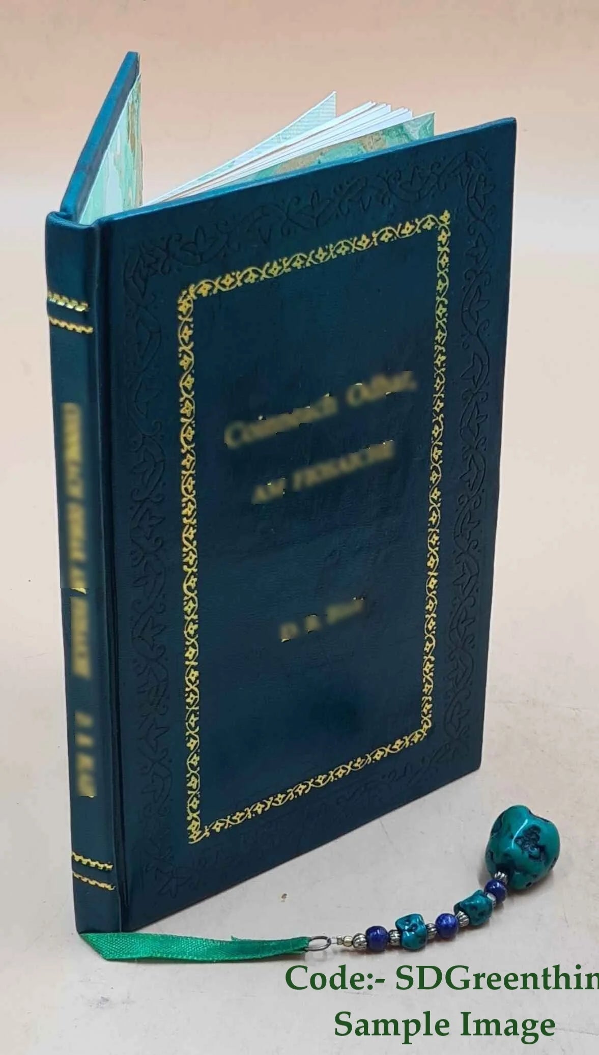 Premium Leather Bound Book B252