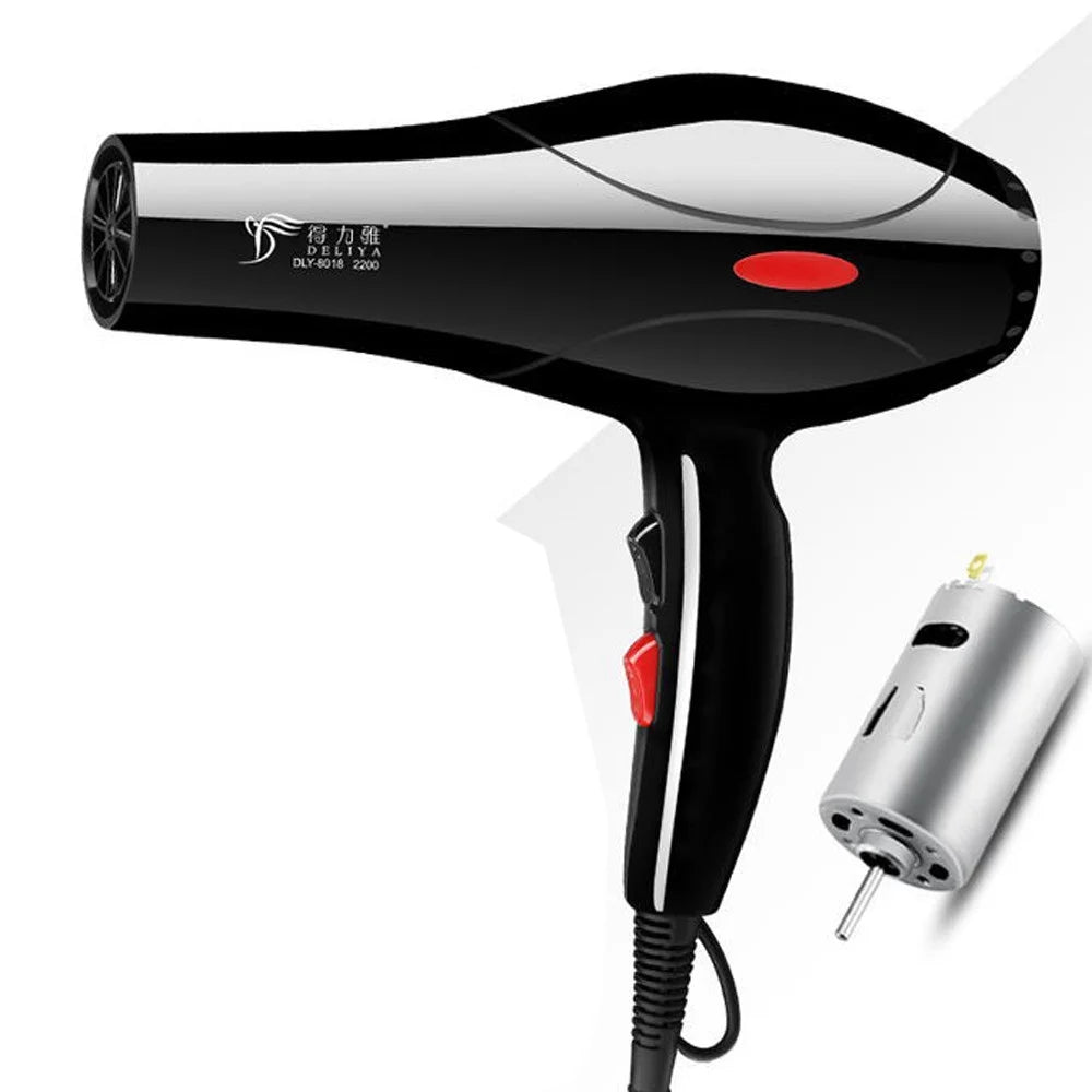 2200W Black Hair Dryer S2709