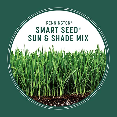 20 lb Grass Mix O799