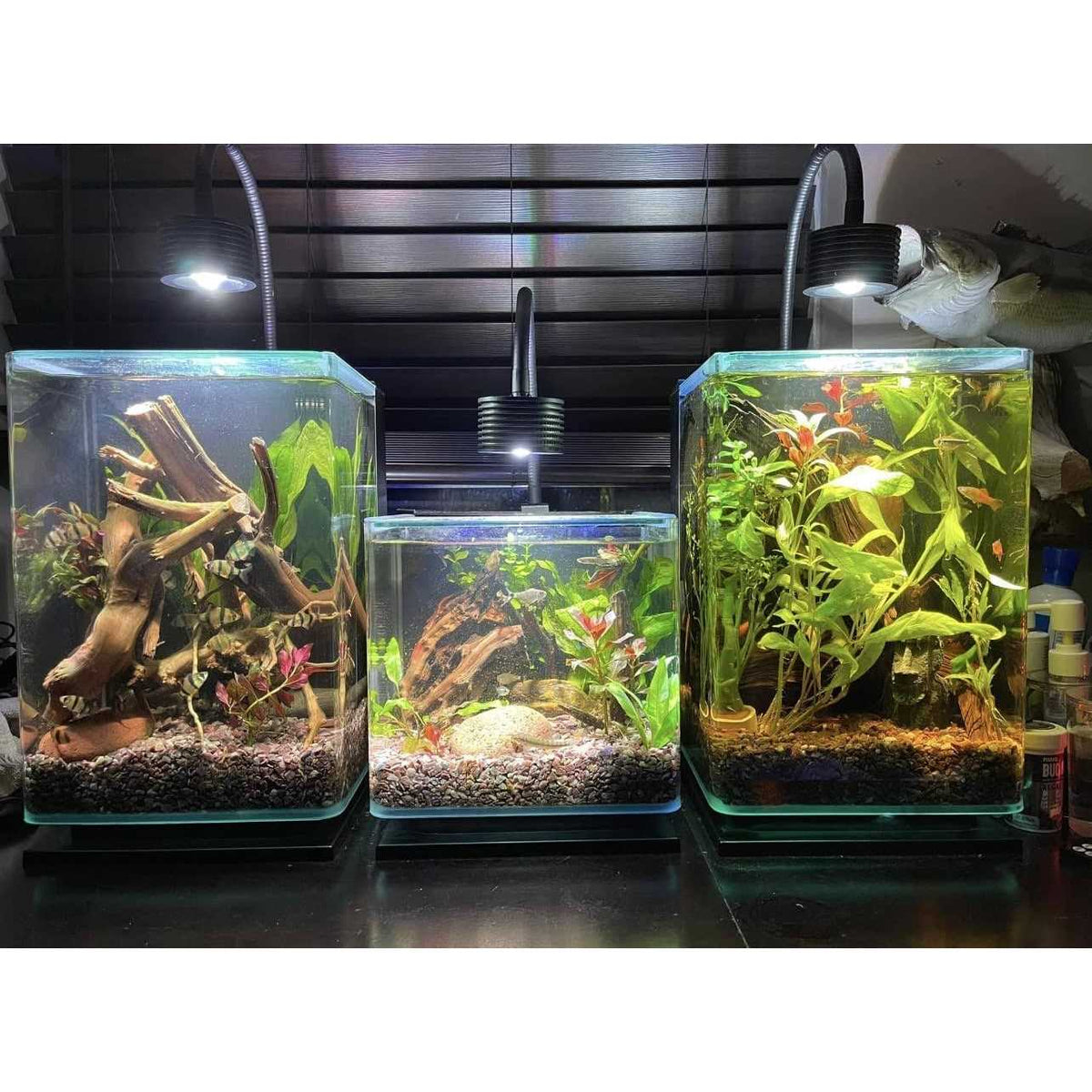 6500k LED Aquarium Light with Gooseneck G52517