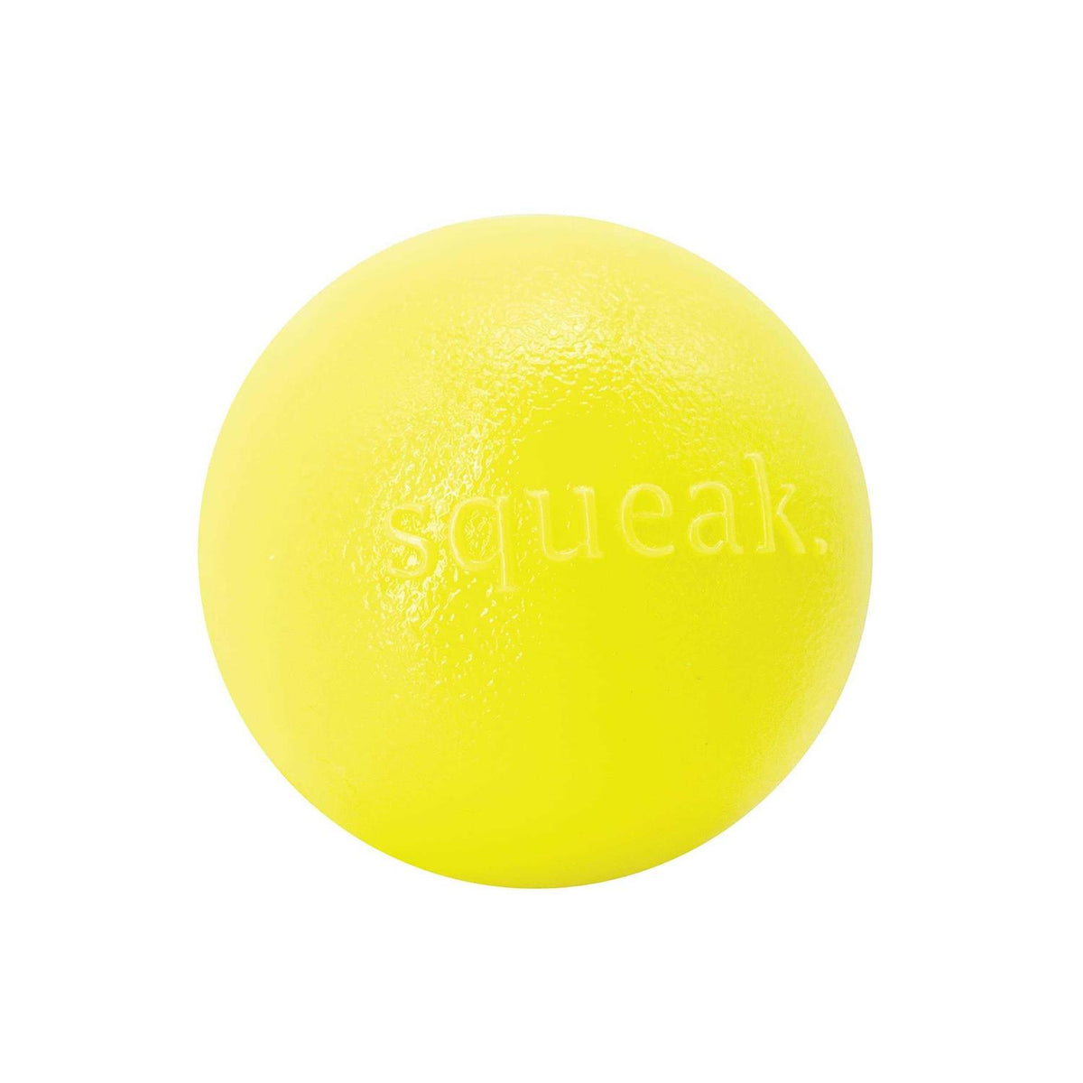 Squeak Toy Ball T259
