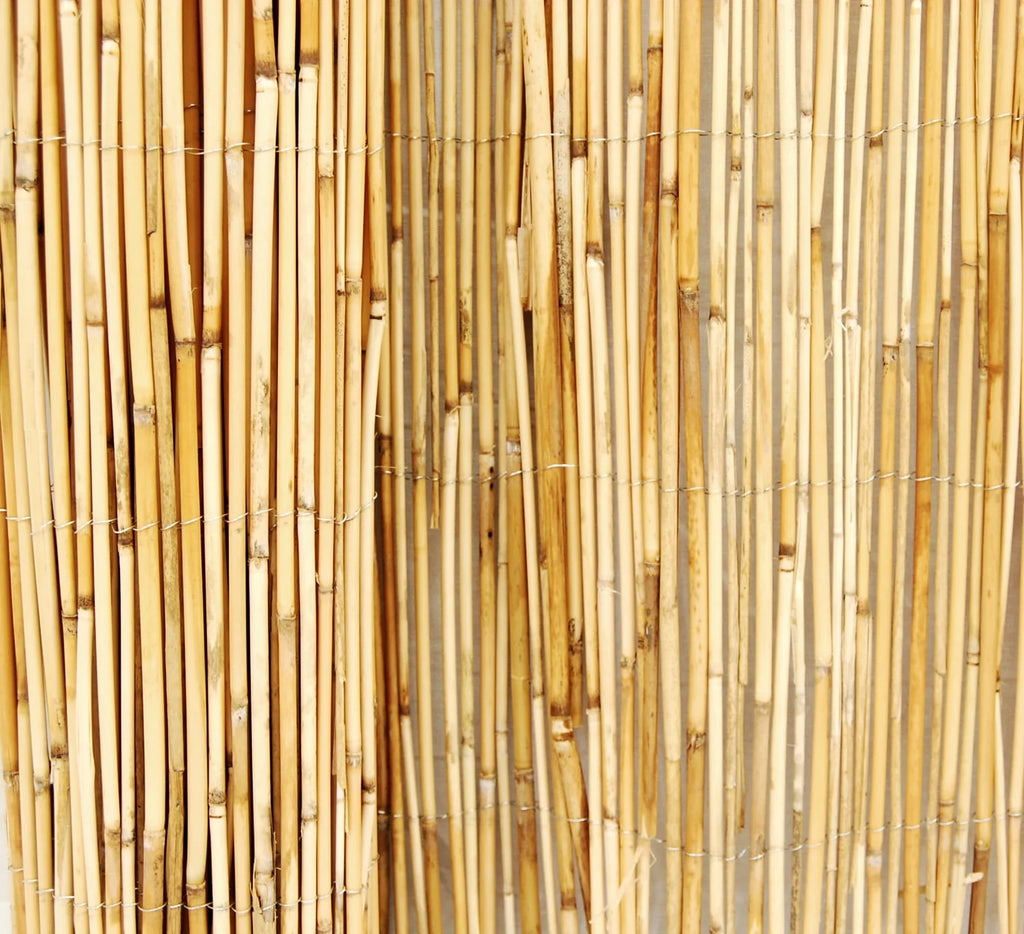 Natural Reed Fence Panel 4-Pack J55786
