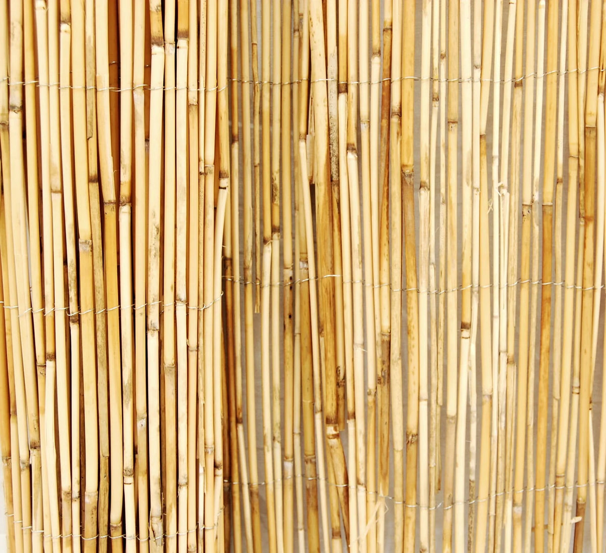 Natural Reed Fence Panel 4-Pack J55786
