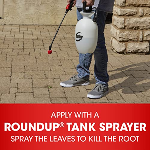 64 oz Weed and Grass Killer with Easy Measure Cap T98166