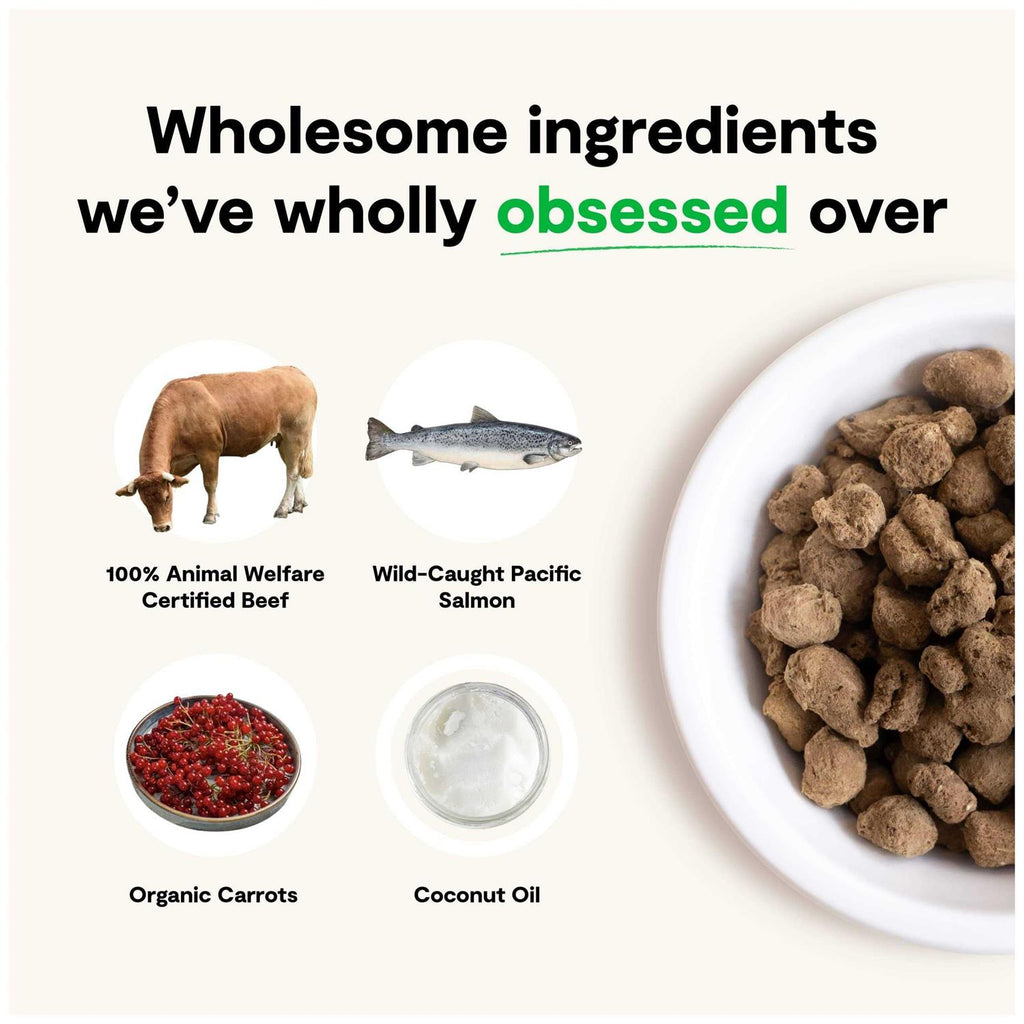 Freeze Dried Raw Dog Food U9177
