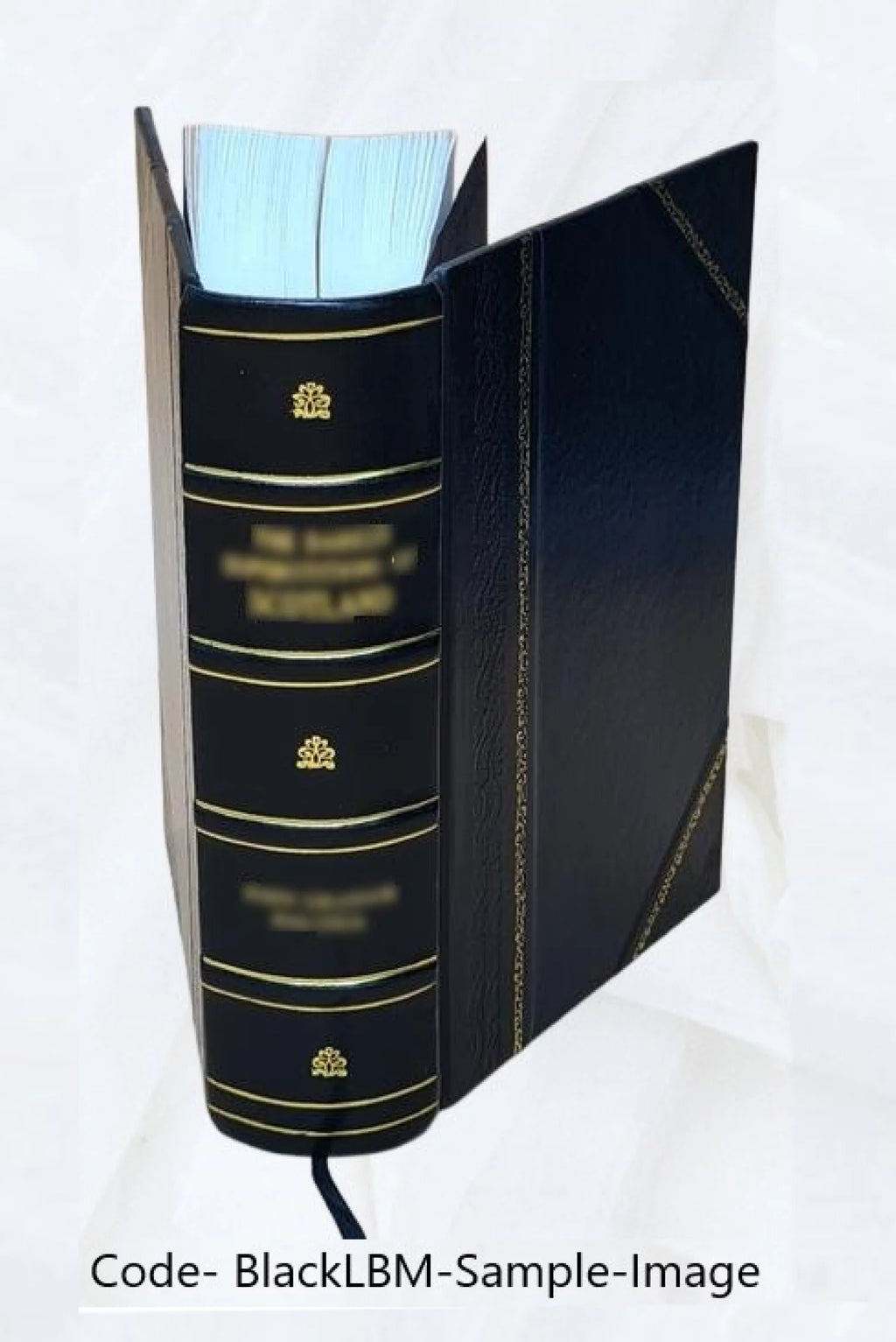 Analyse algébrique Leather Bound D488
