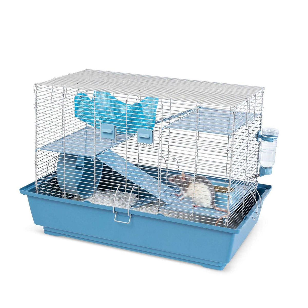 Rat Starter Kit Q444