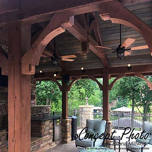 Douglas Fir Brace F263954