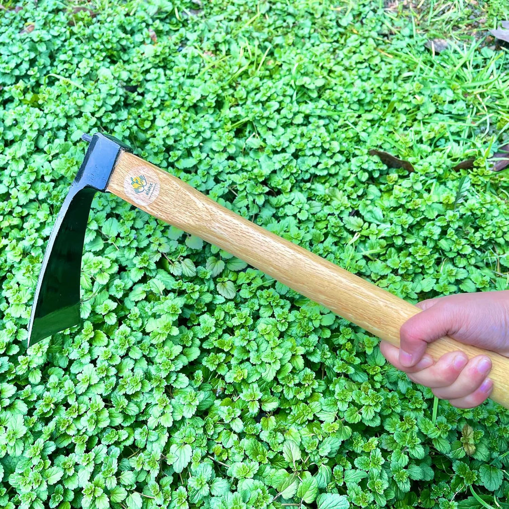 14 Inch Wide Japanese Carbon Steel Garden Hoe with Oak Wooden Handle M151910