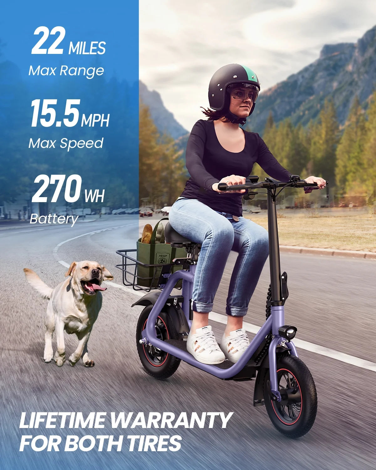 Electric Scooter with Seat, 450W Motor, 22 Miles Range, Folding, Black Q820