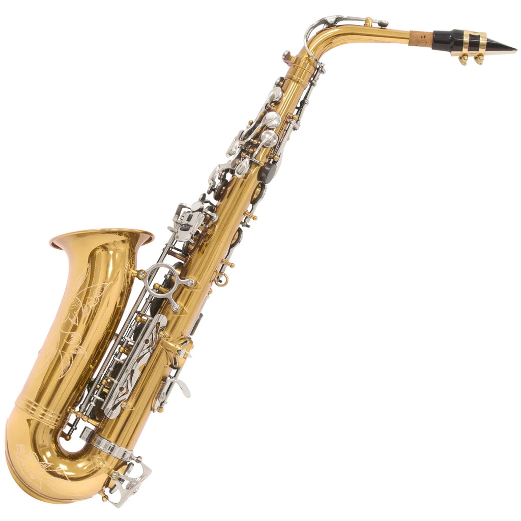 Eb Alto Saxophone with Tuner, Case, Mouthpiece, 10 Reeds A805520