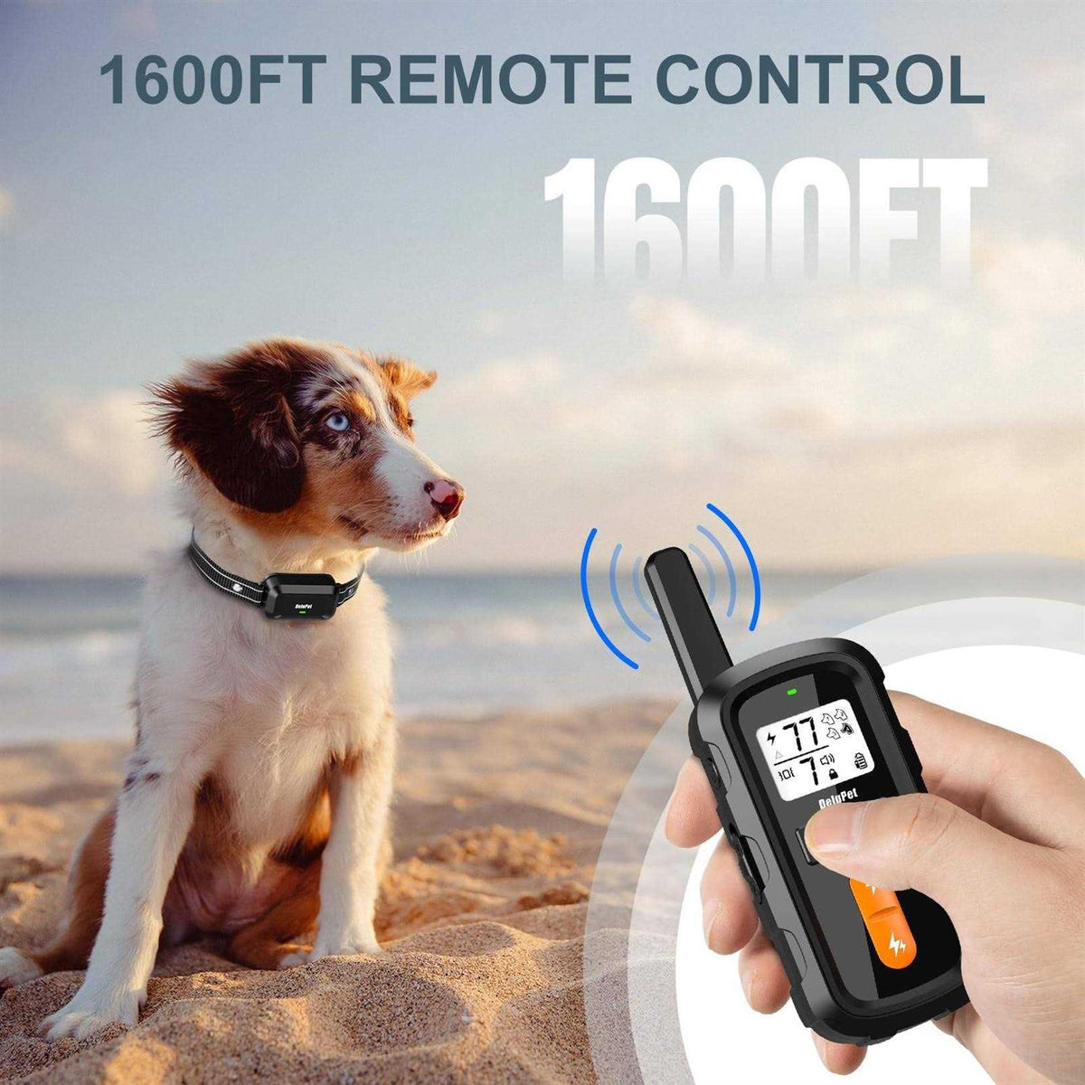 Dog Training Collar with Remote 1600FT R70647