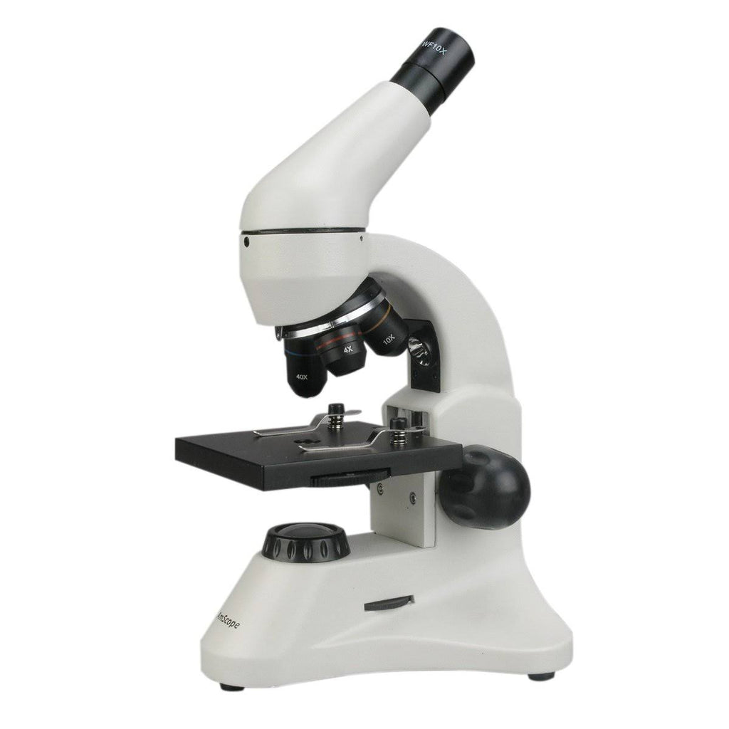 40X-800X Dual Light Student Compound Microscope K72674
