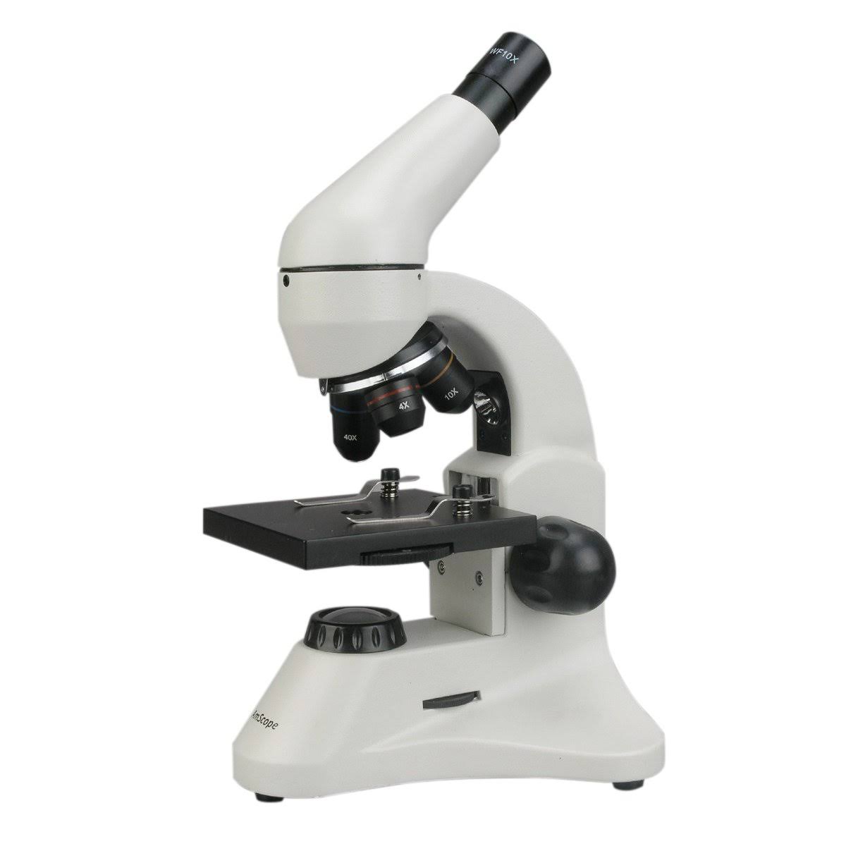 40X-800X Dual Light Student Compound Microscope K72674