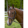 Anatomical Bridle H497