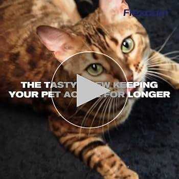 Cat Joint Supplement Chews with UC-II Q6521