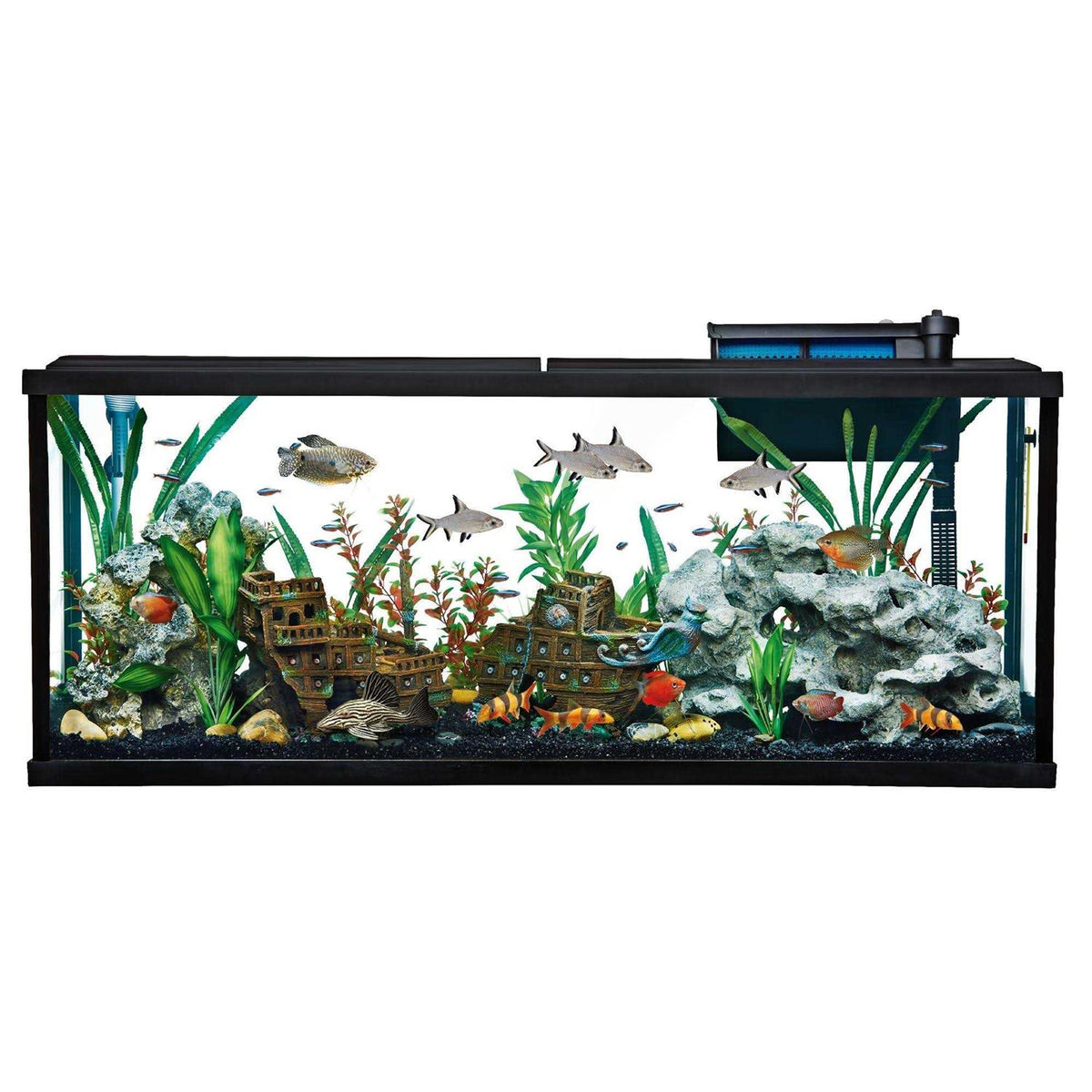 Aquarium Tank Starter Kit J791866