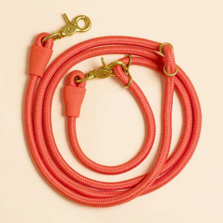 Leash C85823