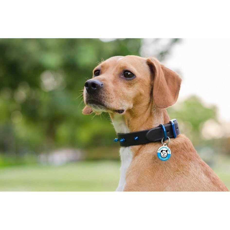 Dog Cat Pet Tag E5711