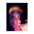 Canvas Art K813
