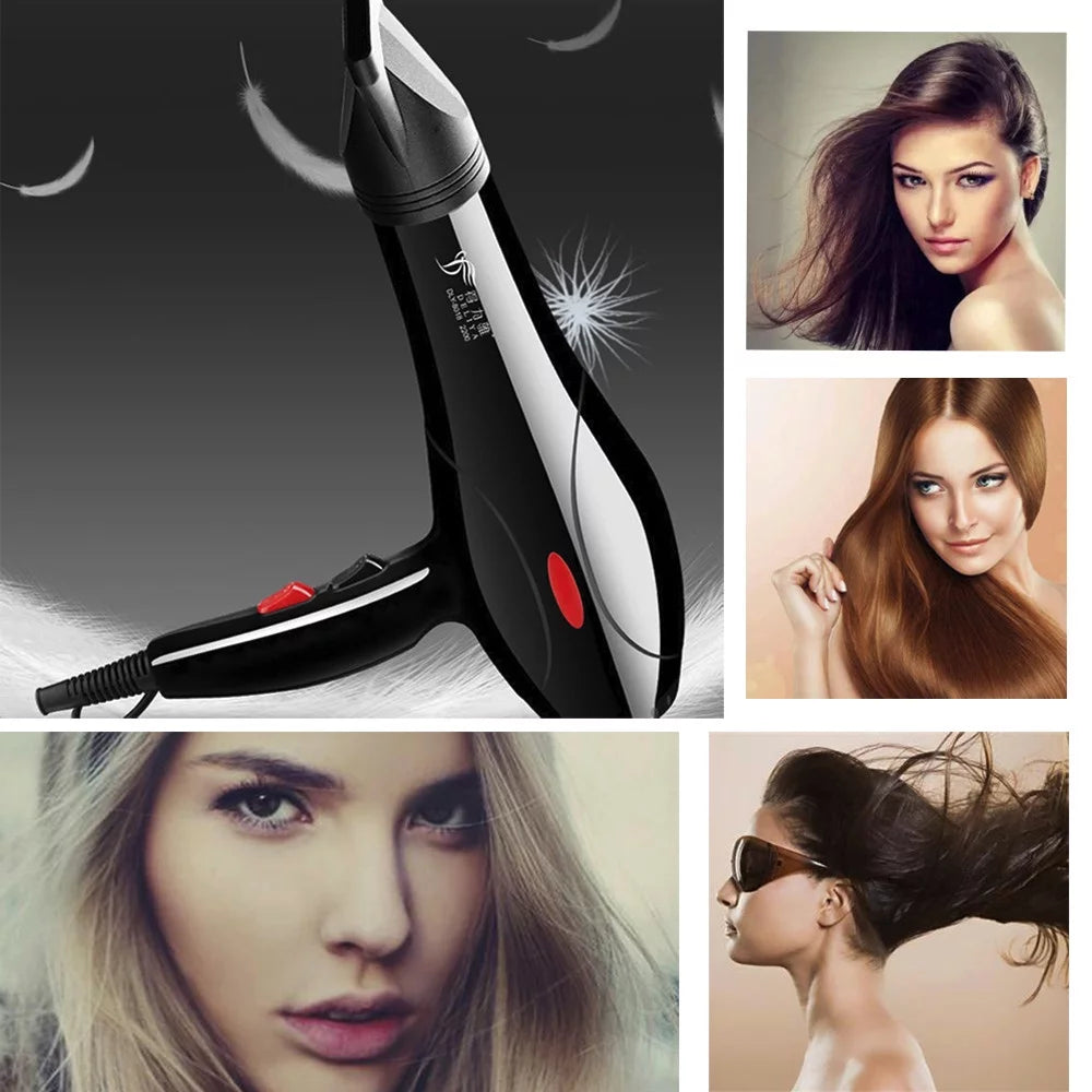 2200W Black Hair Dryer S2709