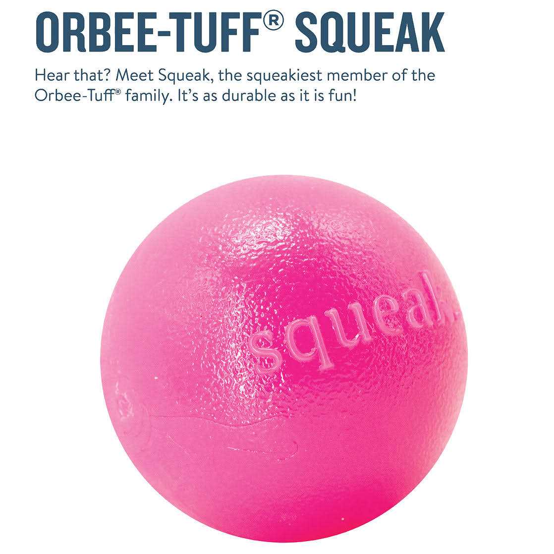 Squeak Toy Ball T259