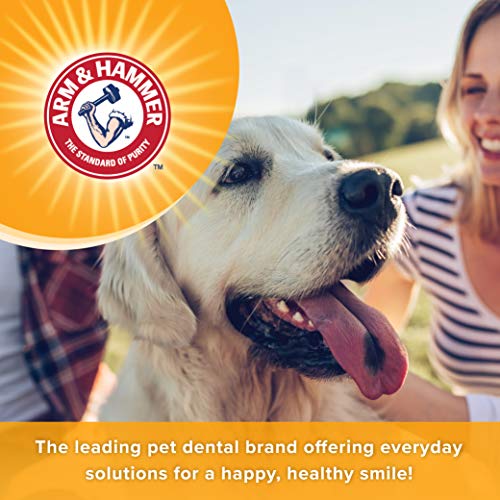 Chicken Flavor Dental Mints for Dogs, 40 Count A135627