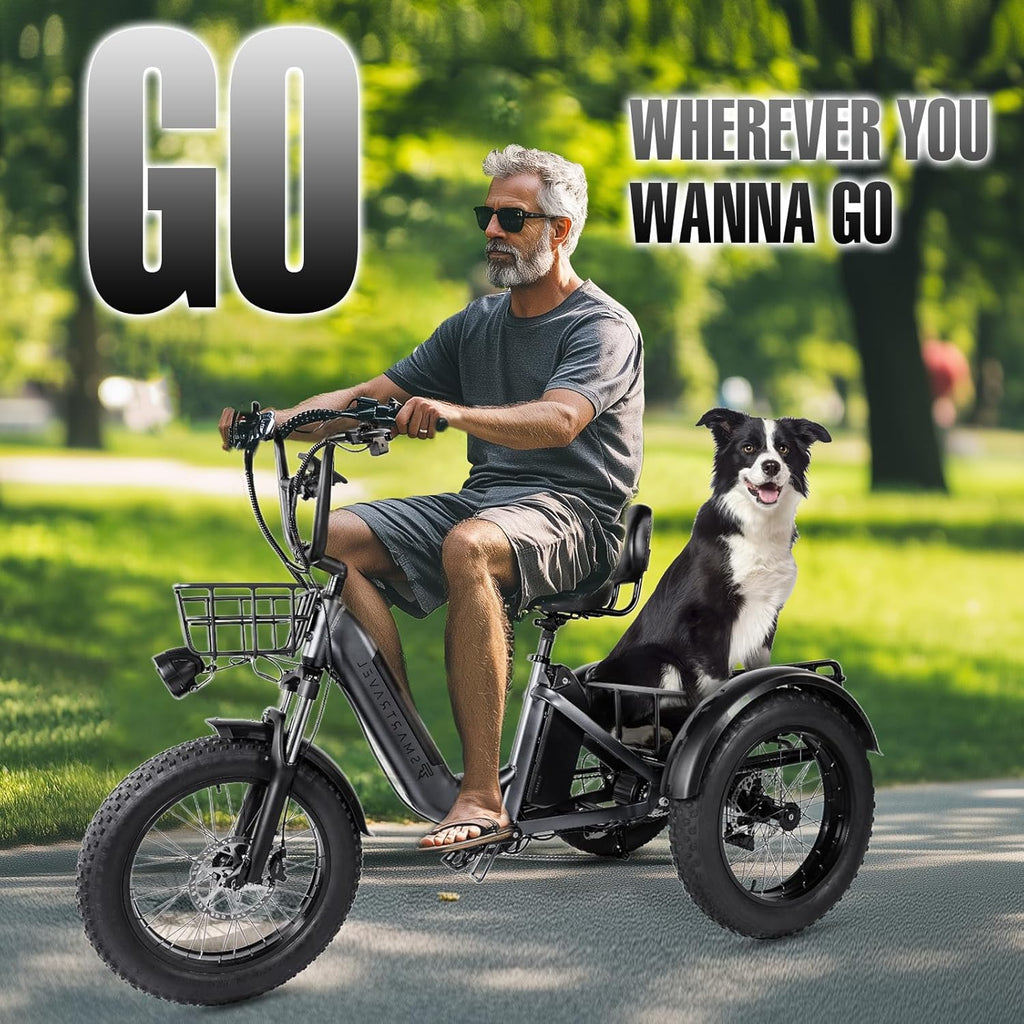 Electric Trike 750W Motor 20" Fat Tire 3 Wheel Electric Bike Dual Removable Batteries B52638