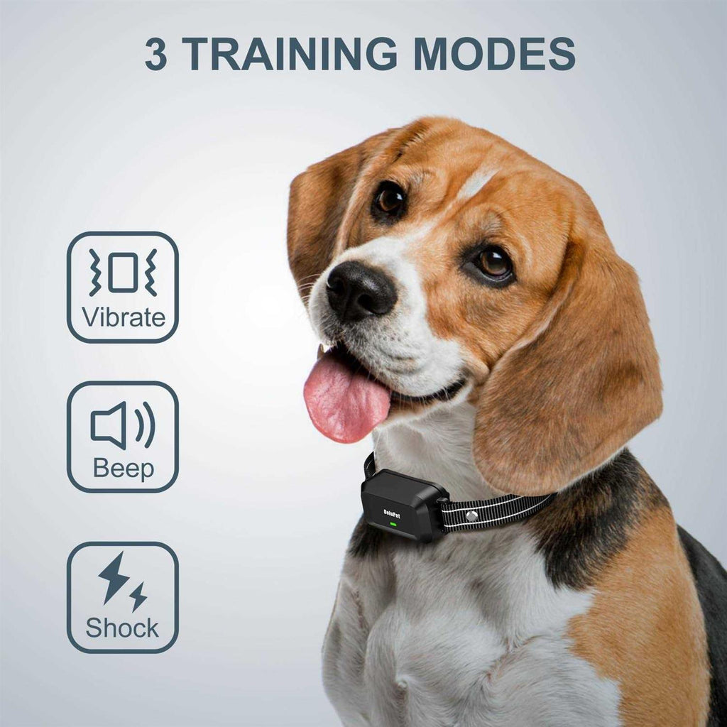 Dog Training Collar with Remote 1600FT R70647