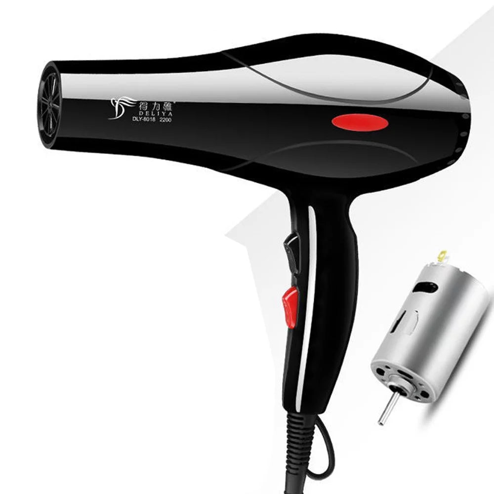2200W Black Hair Dryer S2709