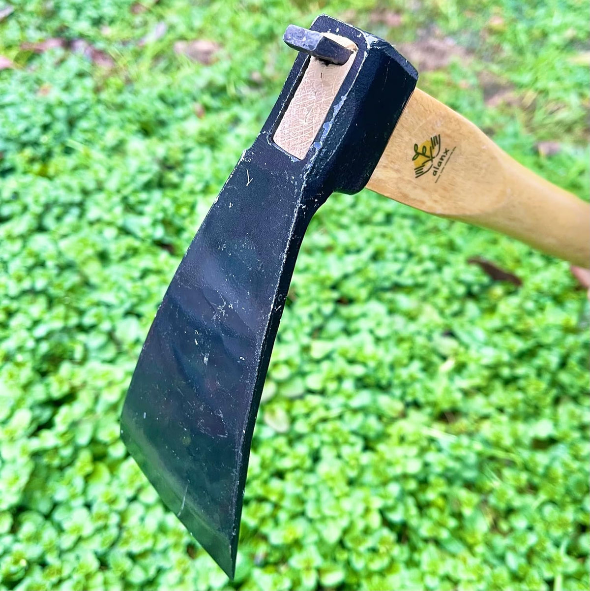 14 Inch Wide Japanese Carbon Steel Garden Hoe with Oak Wooden Handle M151910