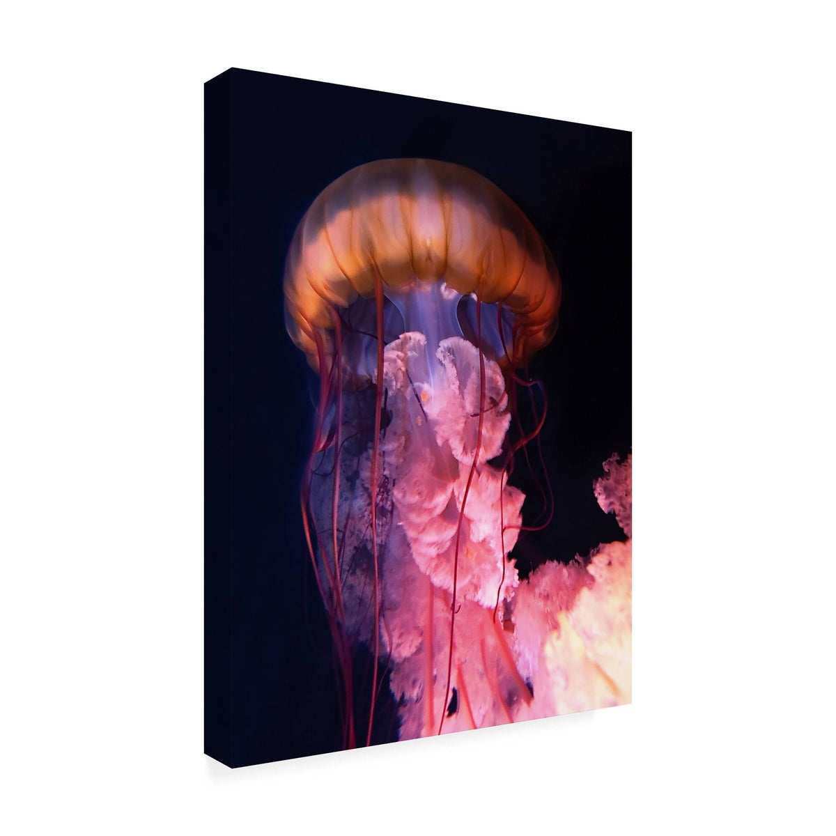 Canvas Art K813