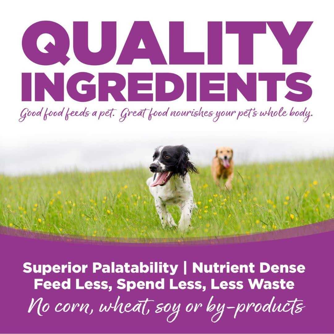 Chicken Rice Large-Breed Puppy Dry Dog Food Q246