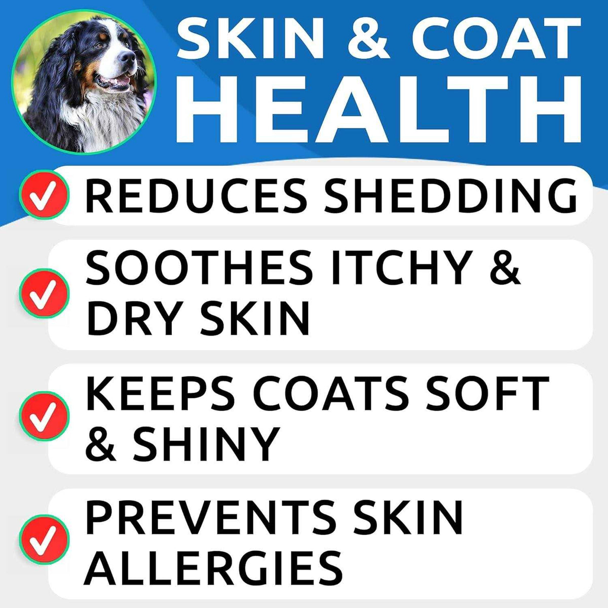 Omega Dogs Oil N873489