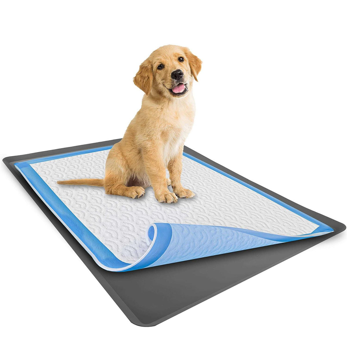 Puppy Pad Holder Tray No Spill P361813