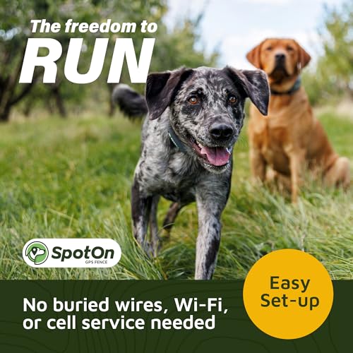 GPS Dog Fence Collar M1619