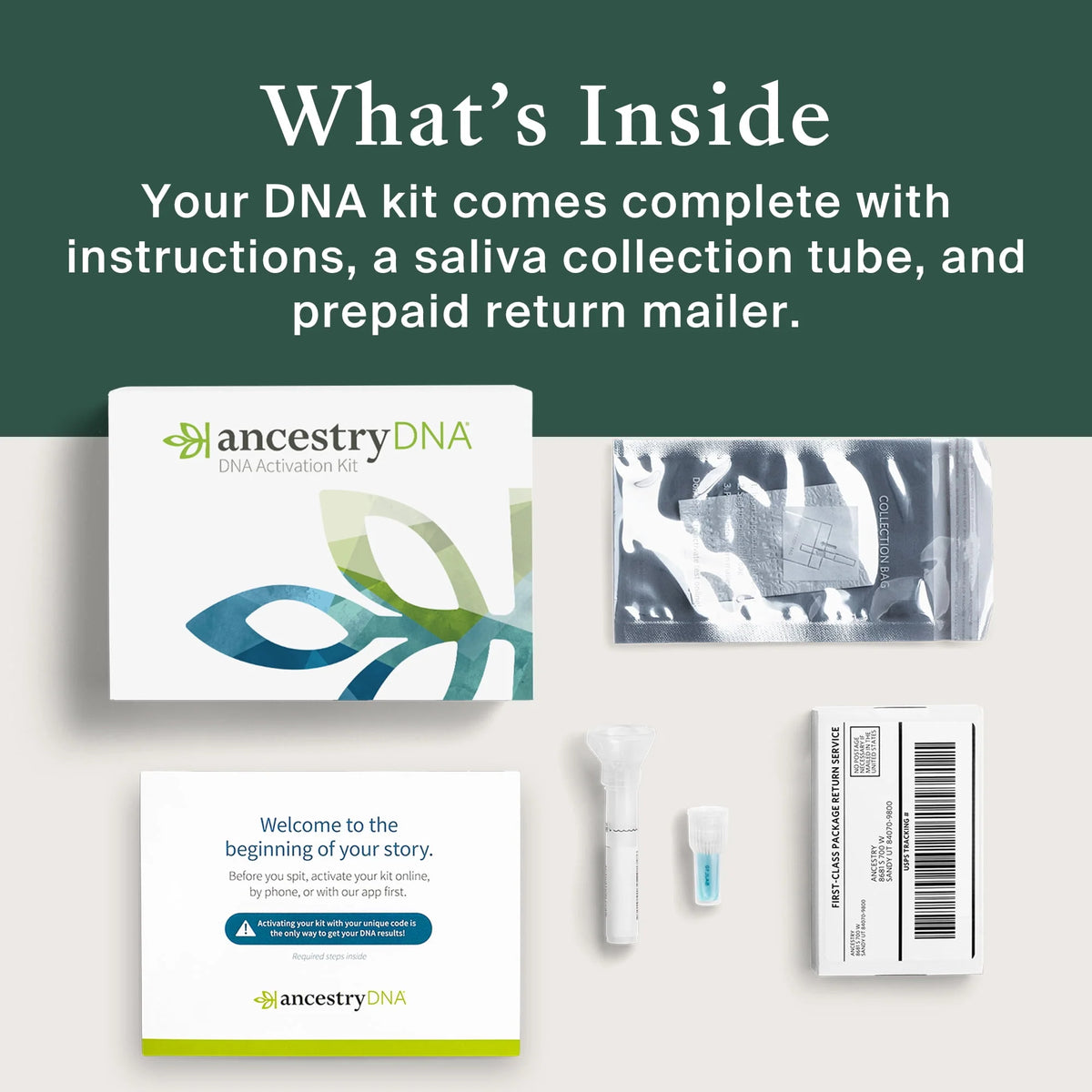 Genetic Test Kit Y573088