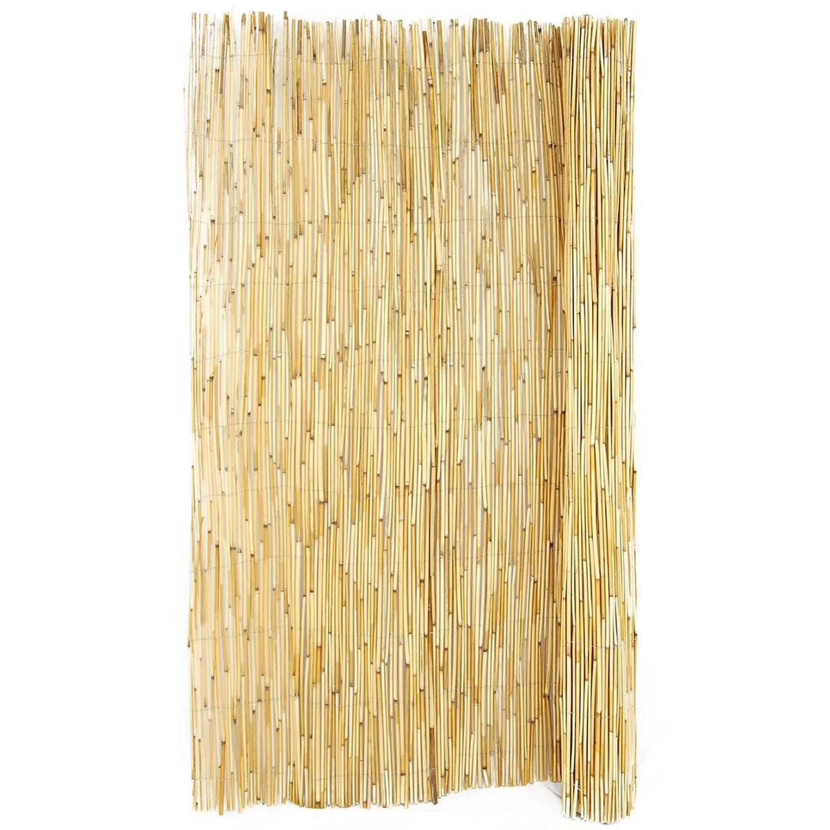 Natural Reed Fence Panel 4-Pack J55786