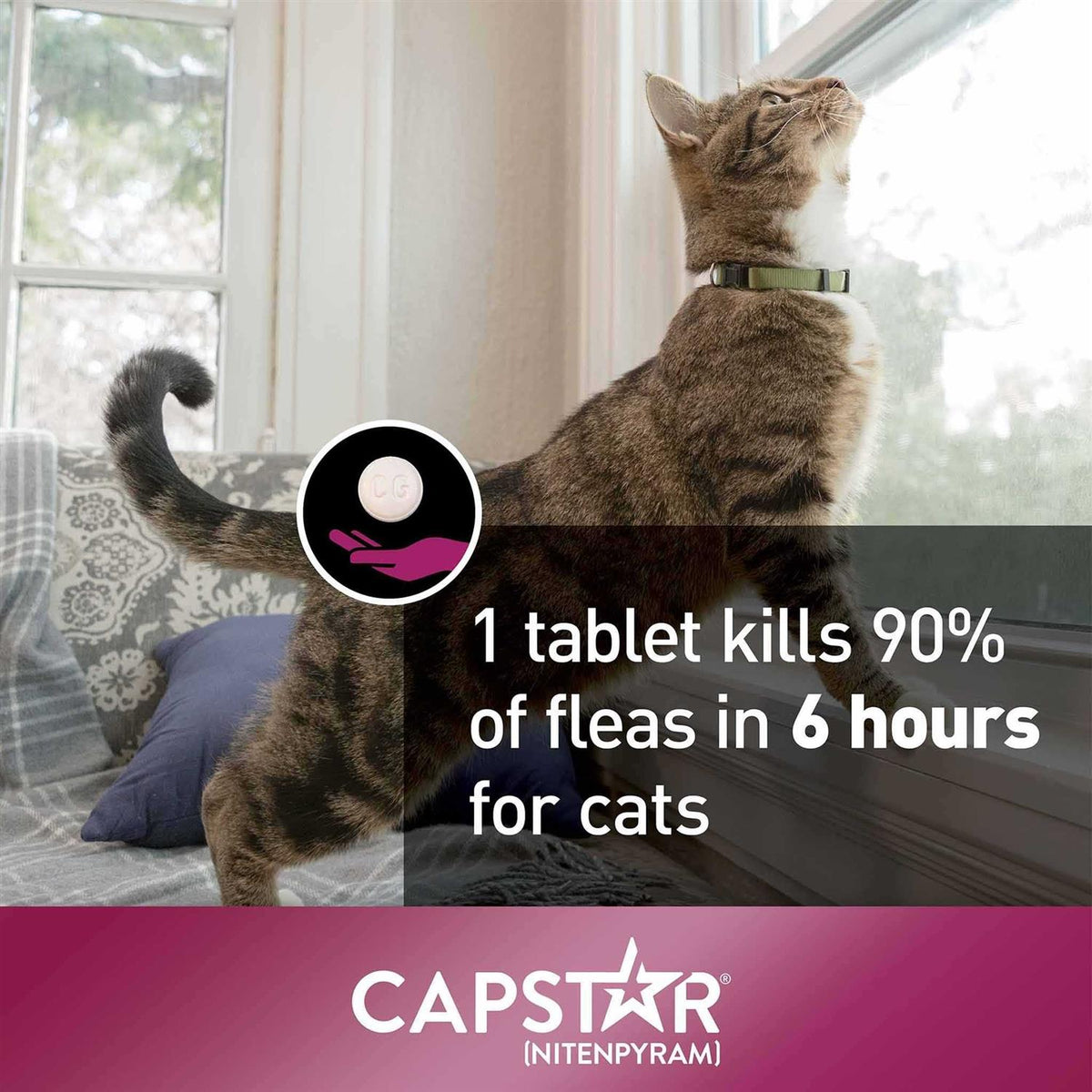 Capstar for Cats O9864