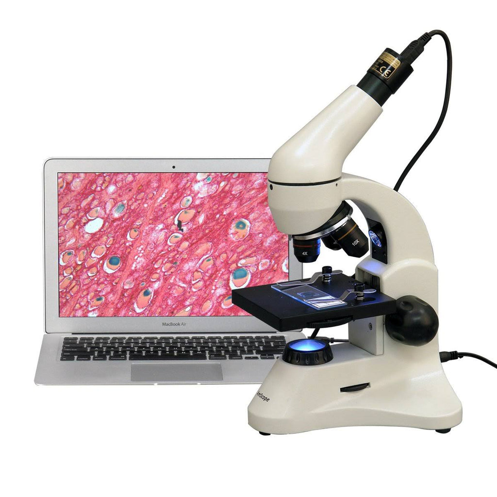 40X-800X Dual Light Student Compound Microscope K72674