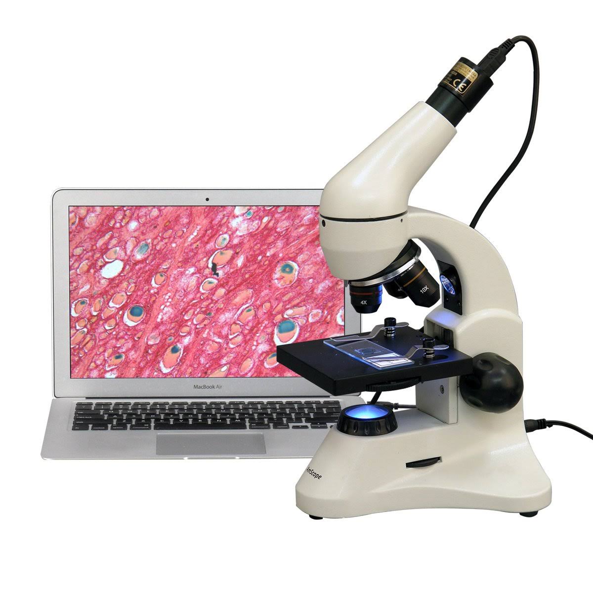 40X-800X Dual Light Student Compound Microscope K72674