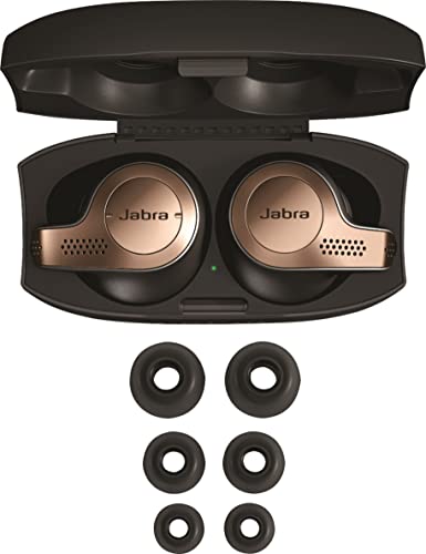 True Wireless Earbuds with Charging Case, Copper Black V60231