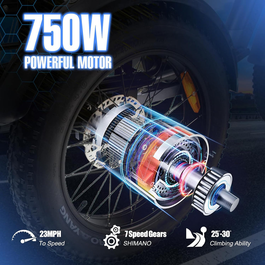 Electric Trike 750W Motor 20" Fat Tire 3 Wheel Electric Bike Dual Removable Batteries B52638