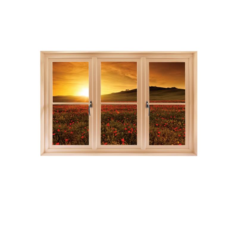 Poppy Field at Sunset Wall Decal S53551
