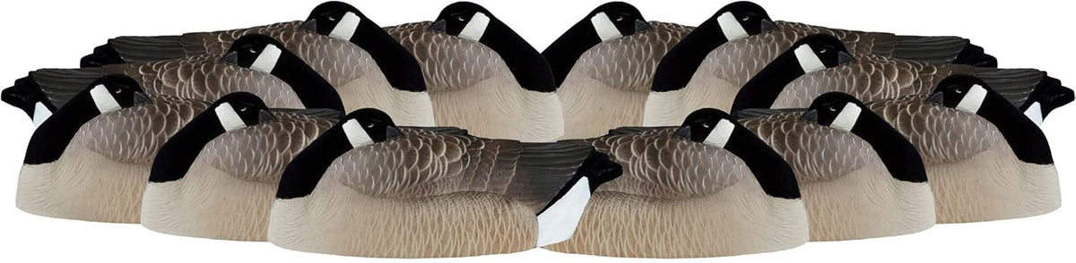 Pack of 12 Flocked Sleeper Shell Decoy L53185
