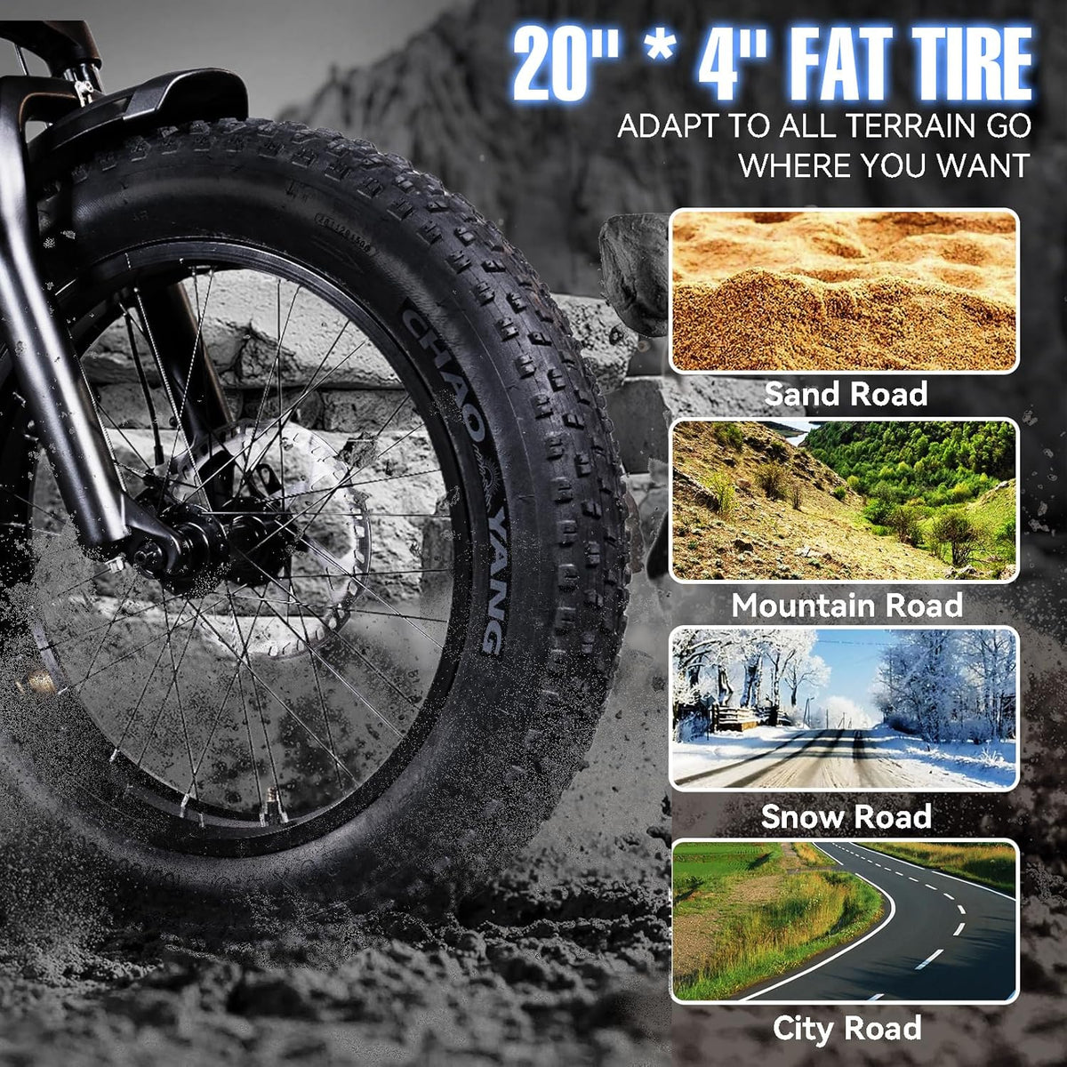 Electric Trike 750W Motor 20" Fat Tire 3 Wheel Electric Bike Dual Removable Batteries B52638
